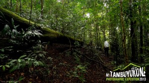 Mount Tambuyukon Expedition  